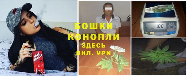 дживик Абаза