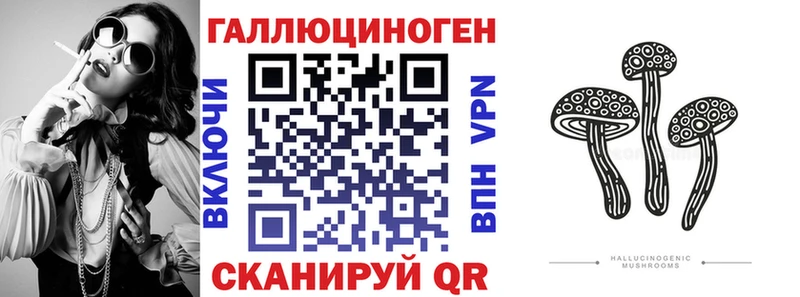 это официальный сайт  купить наркоту  Владимир  Галлюциногенные грибы Psilocybe 